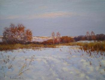 Winter day. Kurnosov Andrey