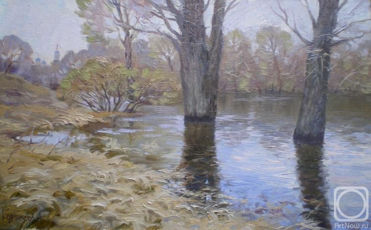 Kurnosov Andrey. Overflow