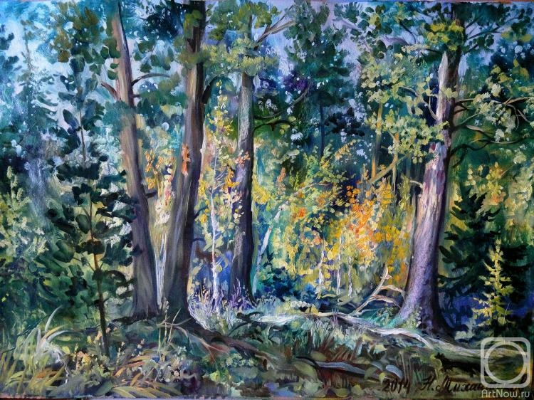 �������. ���������� �������. ������� � ����