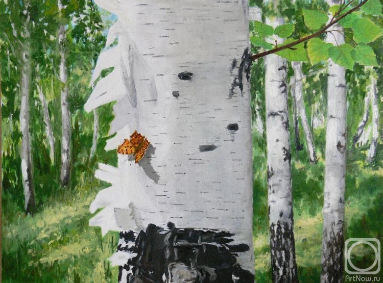 �������. �������� ���������. ������� ����� ����