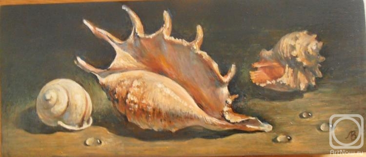 Kuznetsova Margarita. Still life with shells