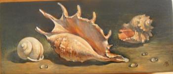 Still life with shells. Kuznetsova Margarita
