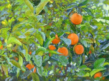 Oranges. Corfu. Greece (Decorative Motif). Kozhin Simon