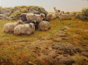 Sheep. Nemakin Aleksandr