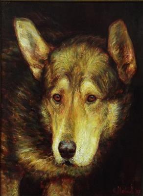 ld Dog. Maykov Igor