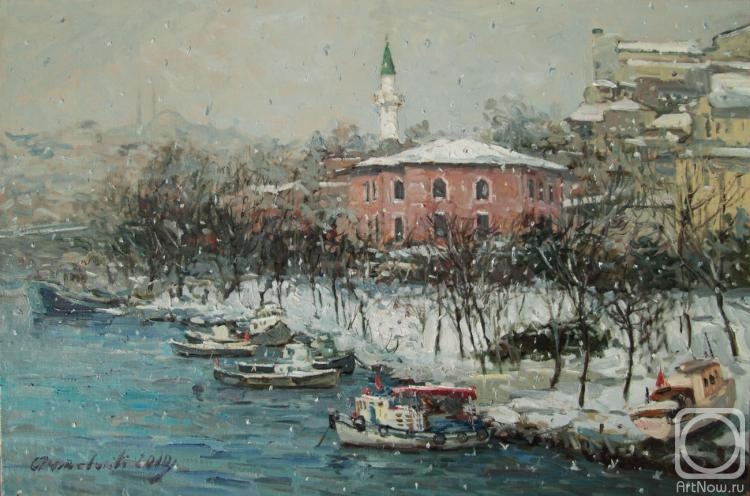 Ahmetvaliev Ildar. Winter in Istanbul