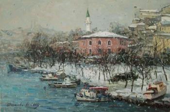 Winter in Istanbul. Ahmetvaliev Ildar