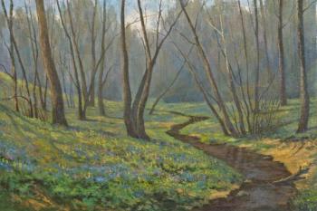 Spring in the forest