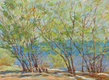 ������� ������ ����� ������