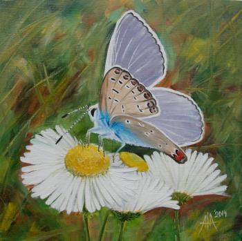 ������� ���� ���������