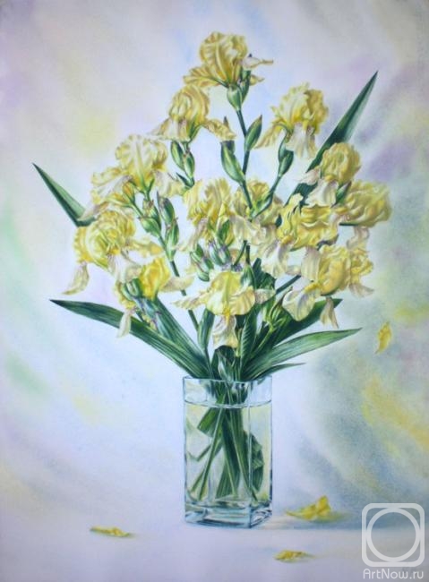Golubkin Sergey. Yellow irises