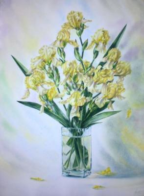 Yellow irises. Golubkin Sergey