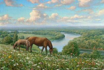 ������� ����� ������ 5�