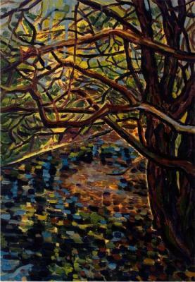 Old tree in Timiryazevsky Park. Narolina Natalia