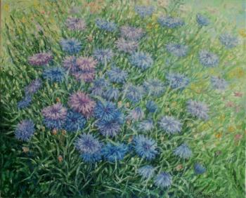 ������� ���������