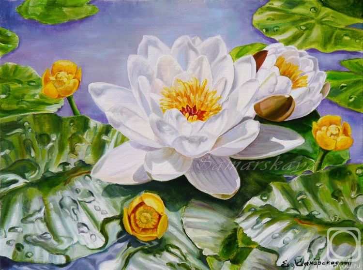 ������� ������ �� ������. ��������� �����. ������ �������