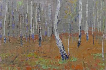 ������� ���������� ���