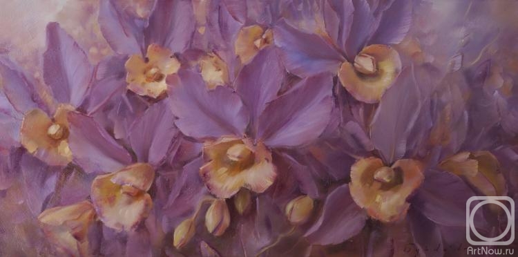 ������� ������ �� ������. ����� ����. �������