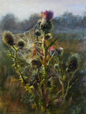 ������� ������������