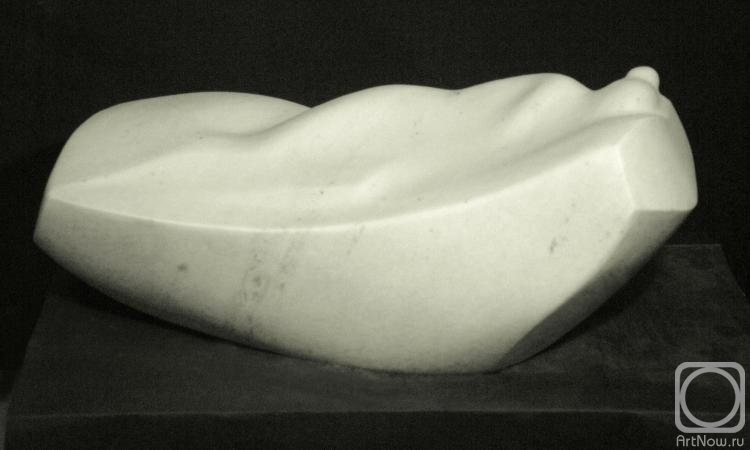 ��������� �����. ����