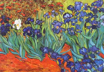 Irises. Van Gogh (copy)