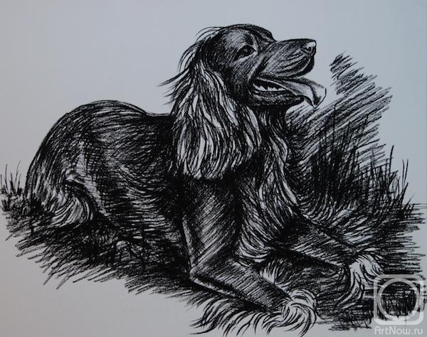 �������. �������� ������. 639 ������-��������