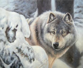 Wolf (A Wolf). Bruno Tina