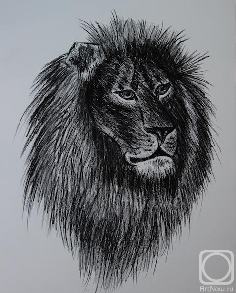 �������. �������� ������. 640 ������ ����