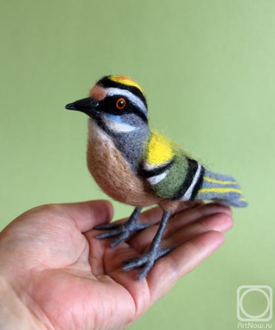 ������ ���. ������