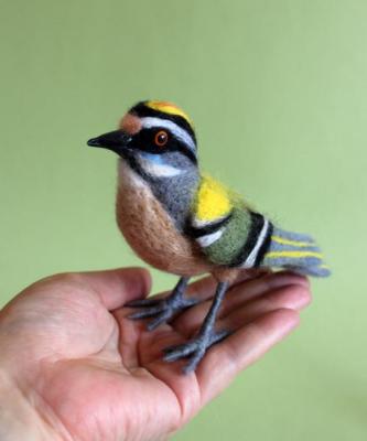 ������. ������ ���