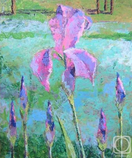 Chugaev Valentin. Irises in Demidkovo