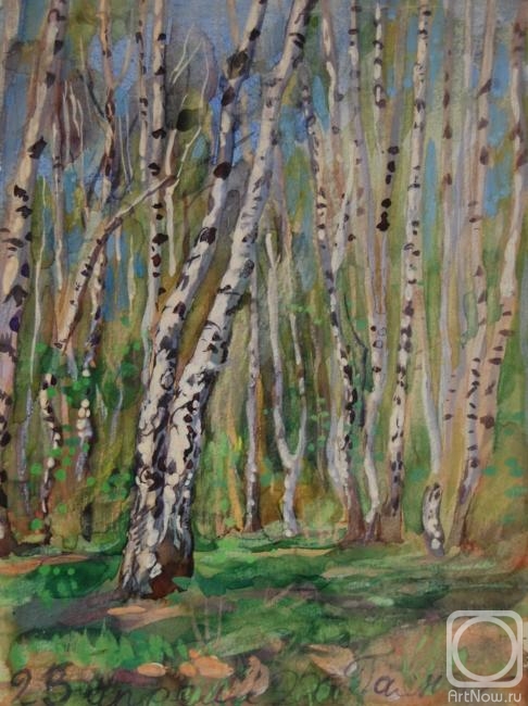 Dobrovolskaya Gayane. Birches at the Side of the Forest