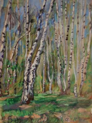 Birches at the Side of the Forest. Dobrovolskaya Gayane