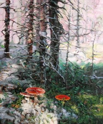 ������� ����������