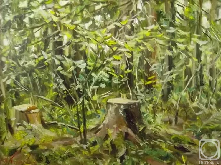 ������� ������ �� ������. ������� ������. ������