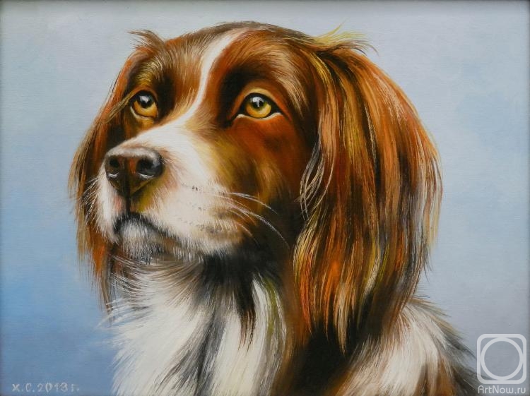 ������� ������ �� ������. �������� ��������. ������