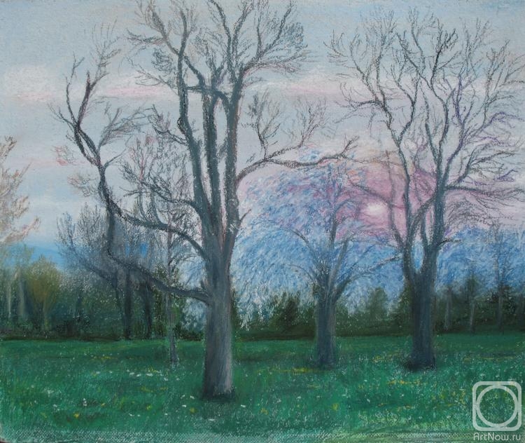 �������. ��� ������. �������