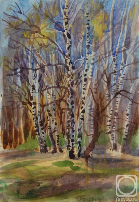 Dobrovolskaya Gayane. Birches at the Side of the Forest, 30 of April