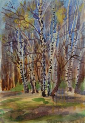 Birches at the Side of the Forest, 30 of April. Dobrovolskaya Gayane