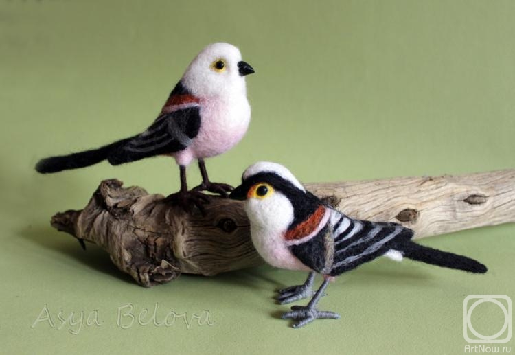 ������ ���. ���� �����������