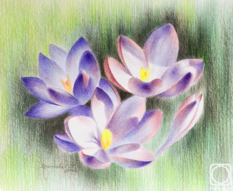 �������. �������� ��������. �������