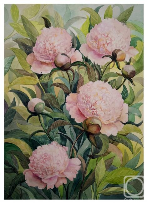 �������. ��������� �������. �����