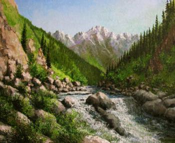 The mountain river. Ile Alatau ( ). Konturiev Vaycheslav