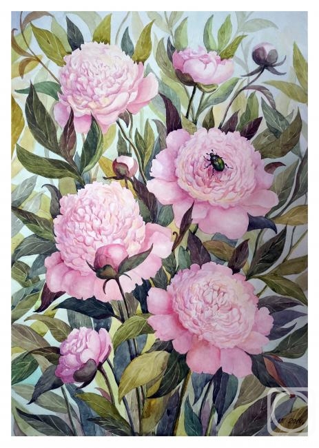 Vasileva Ludmila. Cockchafer