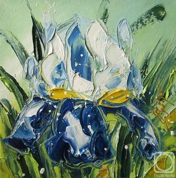 ������� ������ �� ������. ������ ����. ���� 1