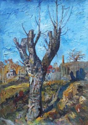 Old tree on the outskirts of Furmanov. Pomelov Fedor
