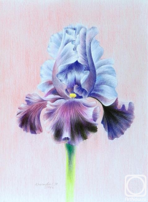 �������. �������� ��������. ����