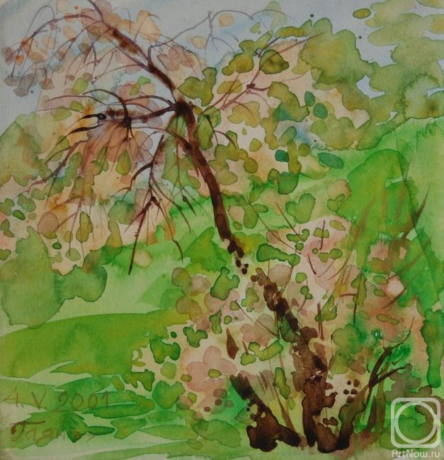 Dobrovolskaya Gayane. Cherry-Tree with Blossoms 2