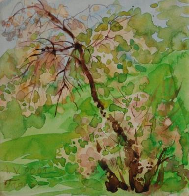 Cherry-Tree with Blossoms 2. Dobrovolskaya Gayane
