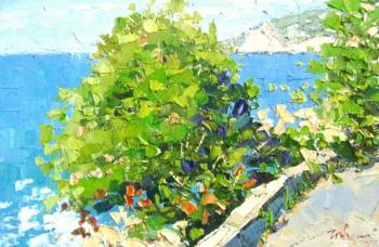 ������� ��������� ����